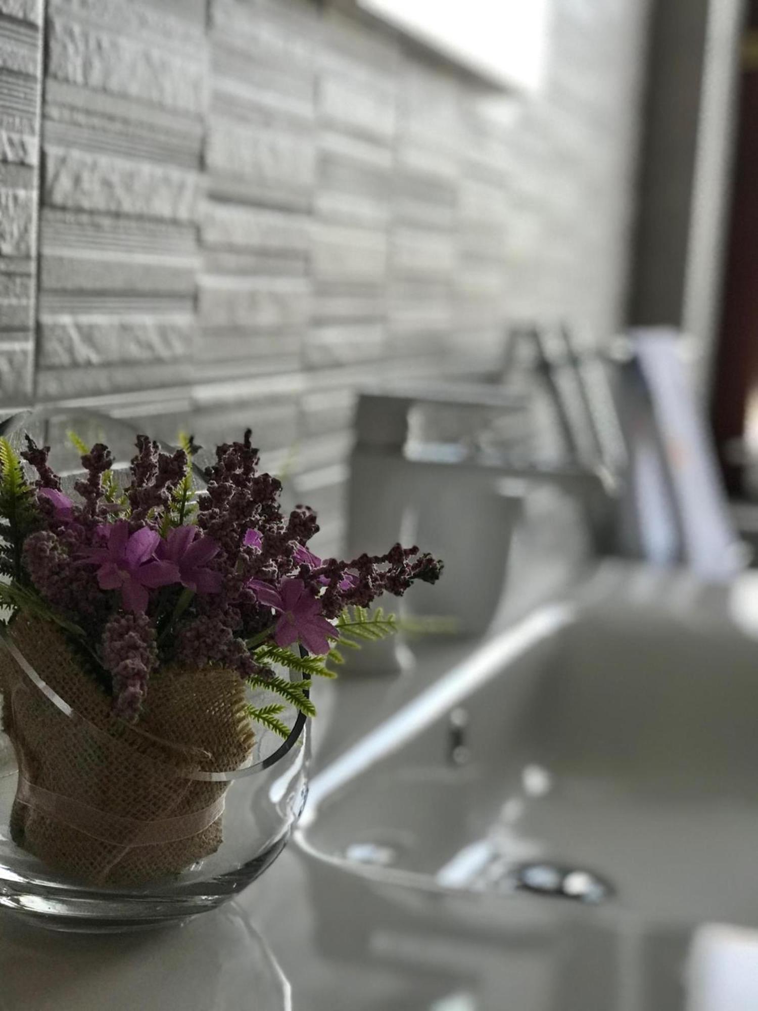 Apartment Adri Rovinj Zewnętrze zdjęcie